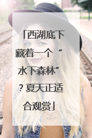 西湖底下藏着一个“水下森林”？夏天正适合观赏