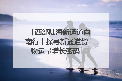 西部陆海新通道向南行丨探寻新通道货物运量增长密码