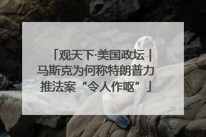 观天下·美国政坛｜马斯克为何称特朗普力推法案“令人作呕”