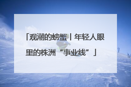 观潮的螃蟹丨年轻人眼里的株洲“事业线”