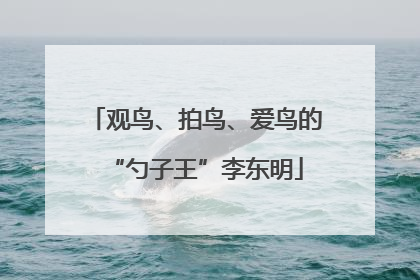 观鸟、拍鸟、爱鸟的“勺子王”李东明