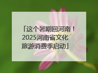 这个暑期回河南！2025河南省文化旅游消费季启动