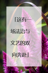 这有一场法治与文艺的双向奔赴