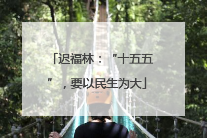 迟福林：“十五五”，要以民生为大