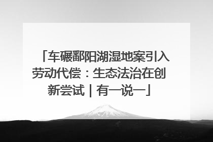 车碾鄱阳湖湿地案引入劳动代偿：生态法治在创新尝试｜有一说一