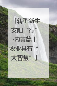 转型新生安阳“行”·内黄篇丨农业县有“大智慧”