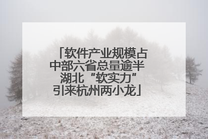 软件产业规模占中部六省总量逾半 湖北“软实力”引来杭州两小龙