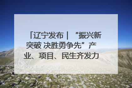 辽宁发布｜“振兴新突破 决胜勇争先”产业、项目、民生齐发力 葫芦岛按下决胜之年“加速键”