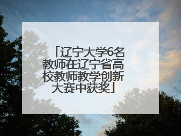 辽宁大学6名教师在辽宁省高校教师教学创新大赛中获奖
