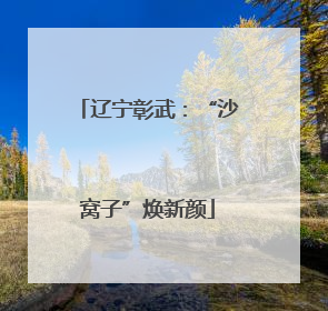 辽宁彰武：“沙窝子”焕新颜