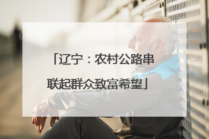 辽宁：农村公路串联起群众致富希望