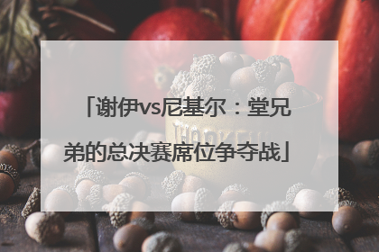 谢伊vs尼基尔：堂兄弟的总决赛席位争夺战
