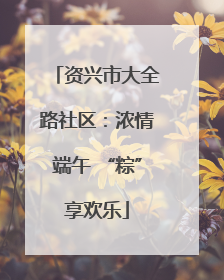 资兴市大全路社区：浓情端午 “粽”享欢乐