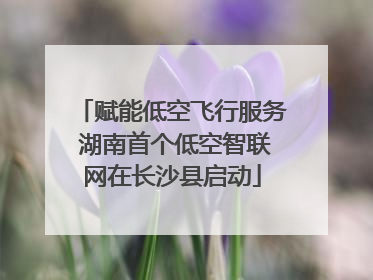 赋能低空飞行服务 湖南首个低空智联网在长沙县启动