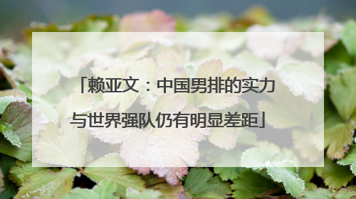 赖亚文：中国男排的实力与世界强队仍有明显差距