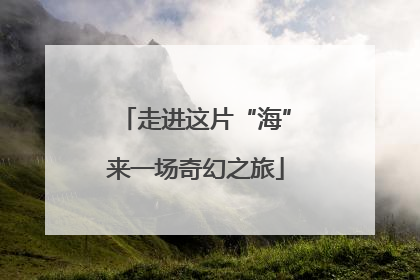 走进这片“海”来一场奇幻之旅
