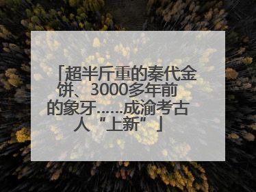 超半斤重的秦代金饼、3000多年前的象牙……成渝考古人“上新”
