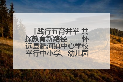 践行五育并举 共探教育新路径——怀远县淝河镇中心学校举行中小学、幼儿园班主任论坛活动