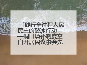 践行全过程人民民主的破冰行动——洞口填补制度空白开居民议事会先河侧记