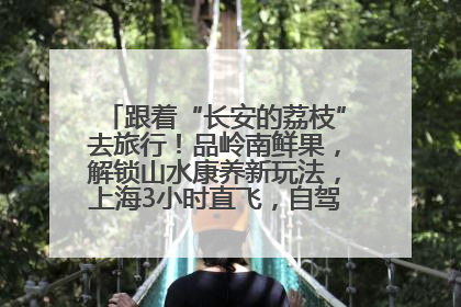 跟着“长安的荔枝”去旅行！品岭南鲜果，解锁山水康养新玩法，上海3小时直飞，自驾高速费优惠