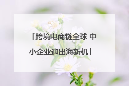 跨境电商链全球 中小企业迎出海新机