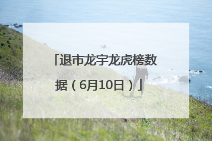 退市龙宇龙虎榜数据（6月10日）