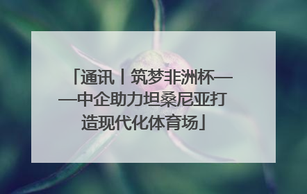 通讯丨筑梦非洲杯——中企助力坦桑尼亚打造现代化体育场