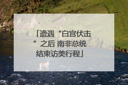 遭遇“白宫伏击”之后 南非总统结束访美行程