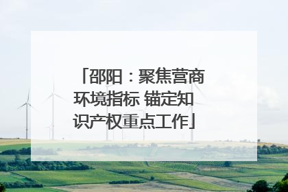 邵阳：聚焦营商环境指标 锚定知识产权重点工作