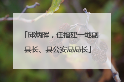 邱炳晖，任福建一地副县长、县公安局局长