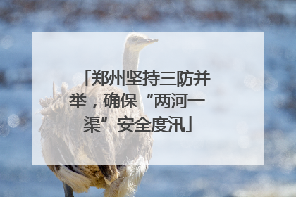 郑州坚持三防并举，确保“两河一渠”安全度汛