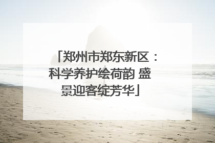郑州市郑东新区：科学养护绘荷韵 盛景迎客绽芳华