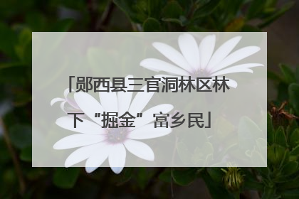 郧西县三官洞林区林下“掘金”富乡民