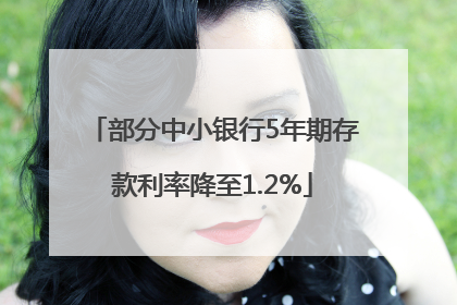 部分中小银行5年期存款利率降至1.2%