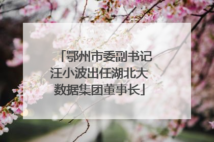 鄂州市委副书记汪小波出任湖北大数据集团董事长