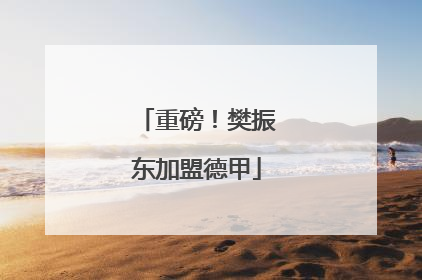 重磅！樊振东加盟德甲