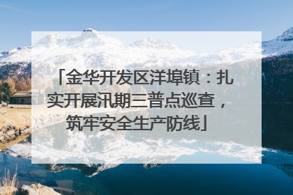 金华开发区洋埠镇：扎实开展汛期三普点巡查，筑牢安全生产防线