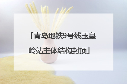 青岛地铁9号线玉皇岭站主体结构封顶