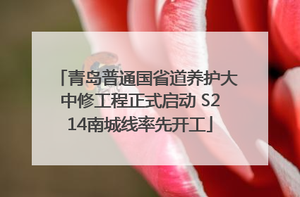 青岛普通国省道养护大中修工程正式启动 S214南城线率先开工
