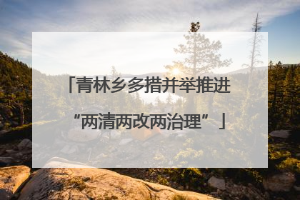 青林乡多措并举推进“两清两改两治理”