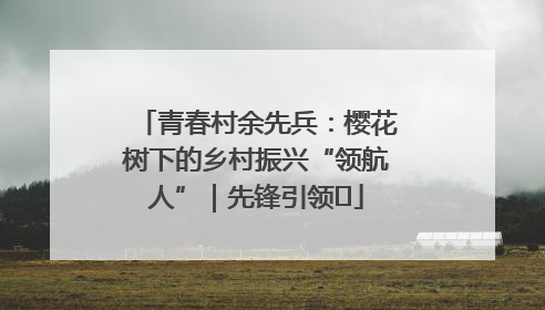 青春村余先兵：樱花树下的乡村振兴“领航人”｜先锋引领⑪