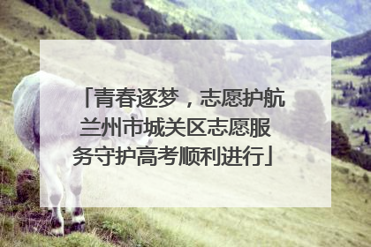 青春逐梦，志愿护航 兰州市城关区志愿服务守护高考顺利进行