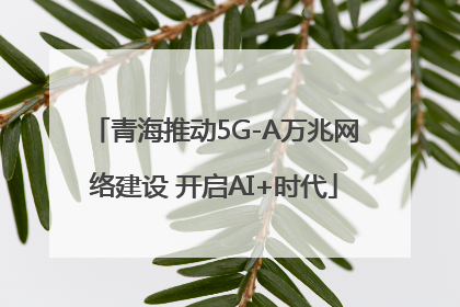 青海推动5G-A万兆网络建设 开启AI+时代