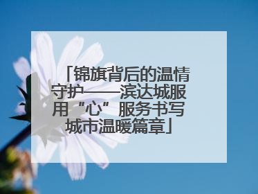锦旗背后的温情守护——滨达城服用“心”服务书写城市温暖篇章