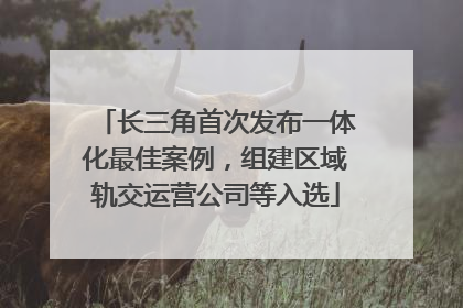长三角首次发布一体化最佳案例，组建区域轨交运营公司等入选