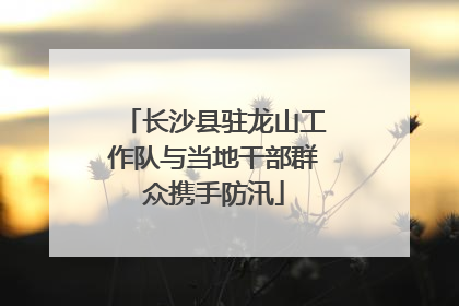 长沙县驻龙山工作队与当地干部群众携手防汛