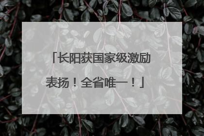 长阳获国家级激励表扬！全省唯一！