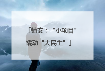 镇安：“小项目”撬动“大民生”