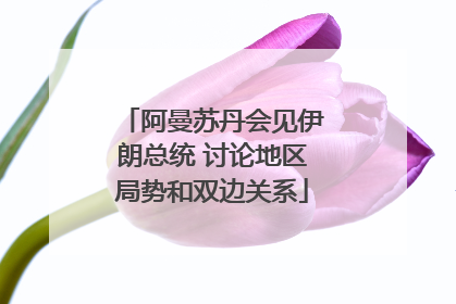 阿曼苏丹会见伊朗总统 讨论地区局势和双边关系