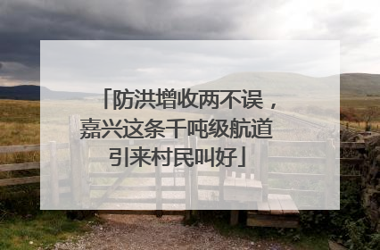 防洪增收两不误，嘉兴这条千吨级航道引来村民叫好